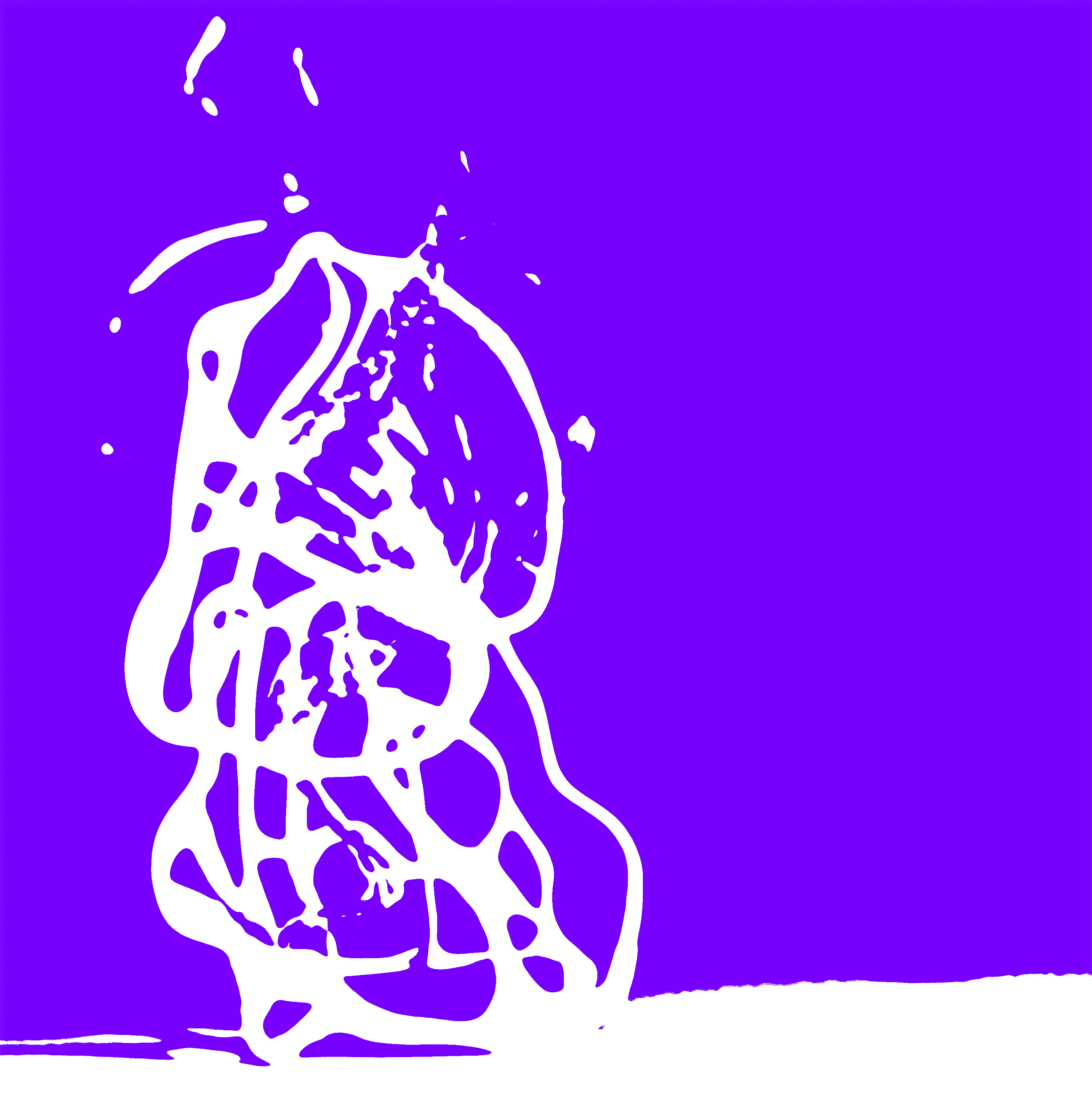 Initial Image
