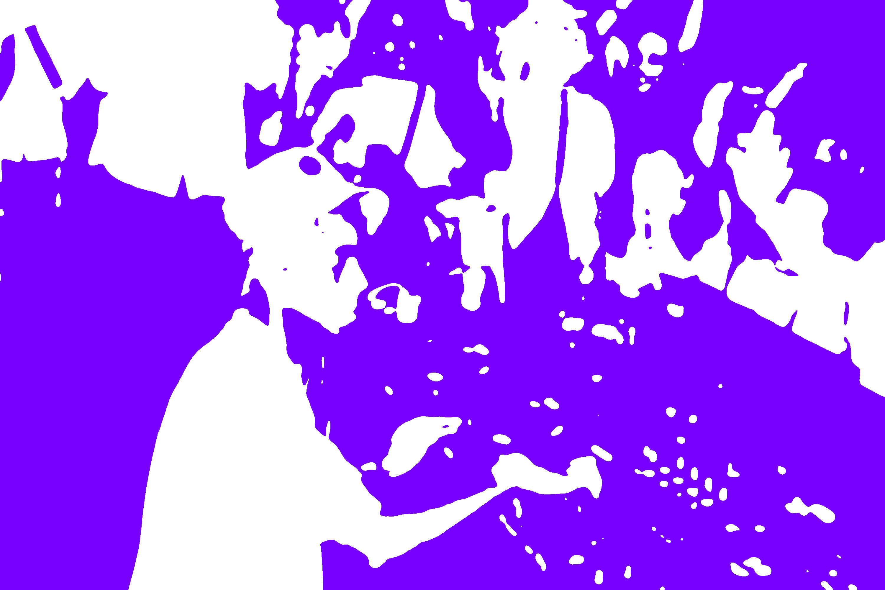 Initial Image